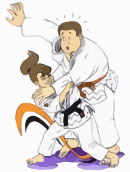 judo-295100_960_720