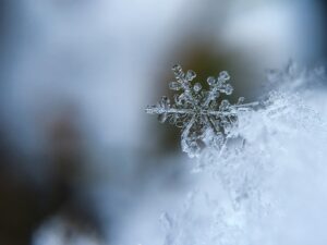 snowflake-1245748_960_720
