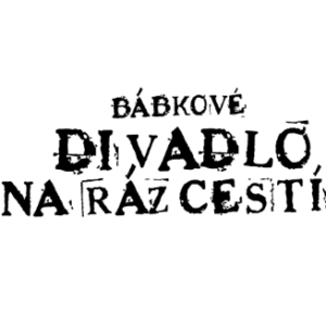 BDNR logo