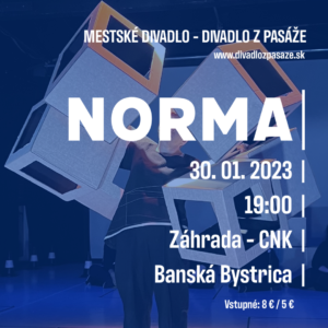 30.1. - norma