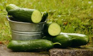 cucumbers-1588945_960_720