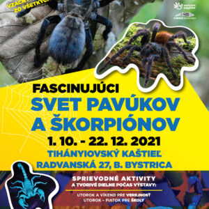 Výstava Fascinujúci svet pavúkov a škorpiónov