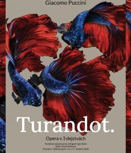 turandot_plakat_