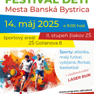 plagat OFDM 2025.pdf