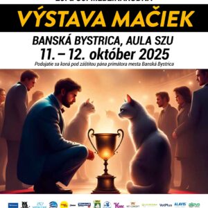 WEB-A4-plagat-VystavaMaciek-2025