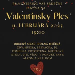 11.2. - Valentinsky ples