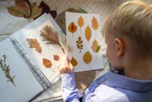 The boy examines the leaves in the herbarium