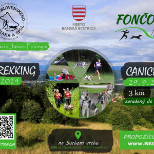 PLAGAT Foncorda