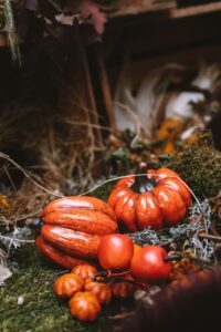 pumpkins-6771028_1280