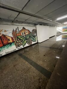 IMG_0612