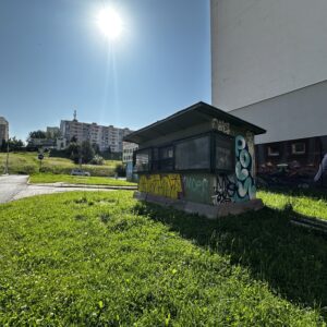 IMG_1553