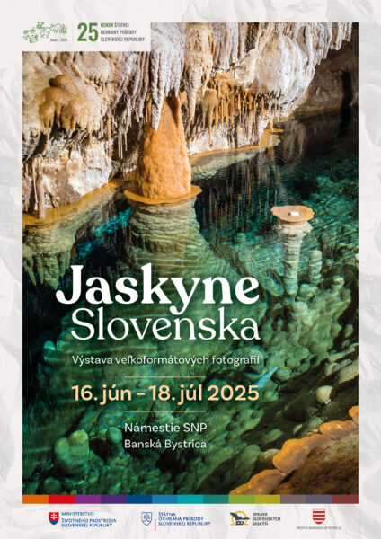 Jaskne Slovenska plagat