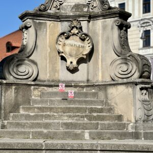 IMG_6300