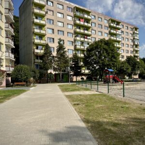 IMG_7991