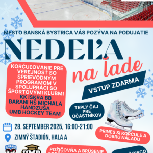 NEDEĽA na ľade