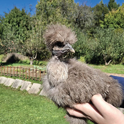 11_FB-Popoludnie s chovatelom-TK