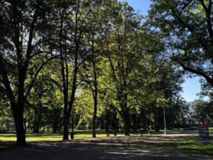 Mestský park dreviny