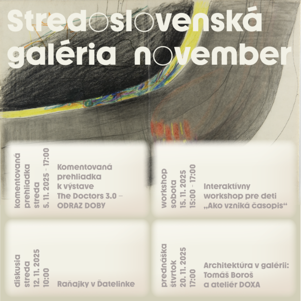 SSG_IG_program_November