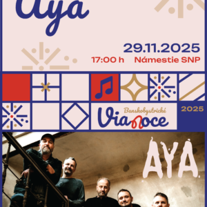 29.12. - new_AYA_online