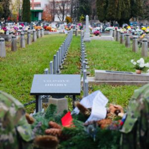 93fb8690-b7c0-429f-a936-817597fd50af