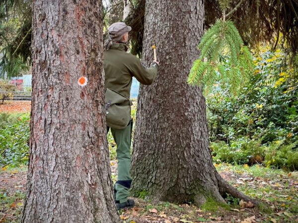 Mestský park_nezávislý posudok (12)