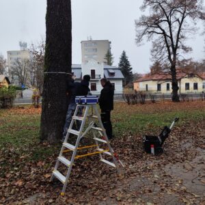 Mestský park_nezávislý posudok (7)