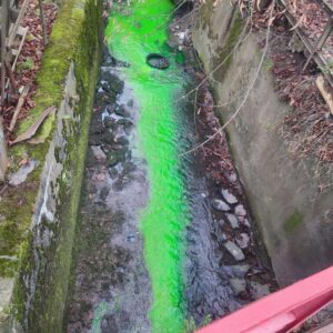 Rudlovský potok - farbivo