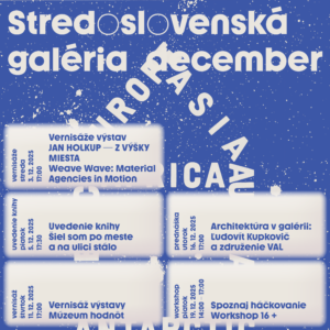 SSG_IG_program_December