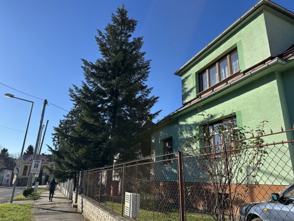 Vianočný stromček