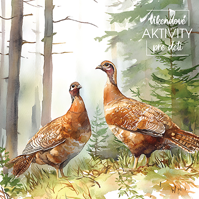 01_FB-Maskovanie v prirode-TK