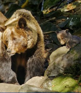 10.12. Zivot v Karpatoch 2