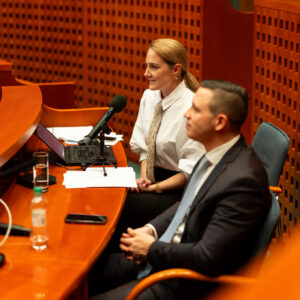 Mestský mládežnícky parlament