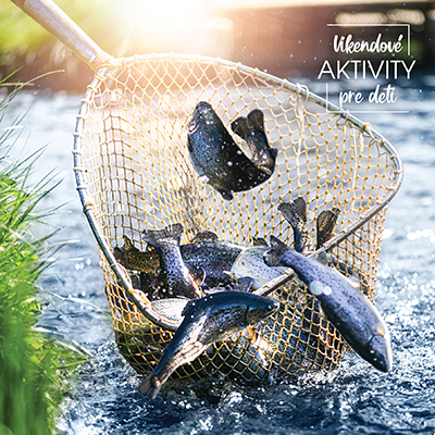 03_FB-Co prinasa rieka-TK