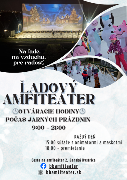 Light Blue Modern Ice Skating Festival Poster1