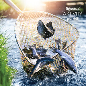 03_FB-Co prinasa rieka-TK