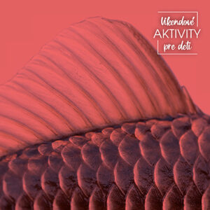 03_FB-Zo sveta dinosaurov-TK