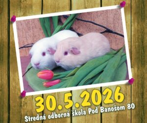 12 DUO Cavy Spring Banska Bystrica 2026 A4