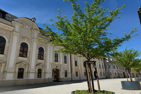 sakury s listami