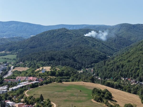 mestské lesy požiar (4)